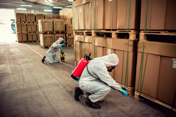 Best Flea Control Services  in Jackson, MS
