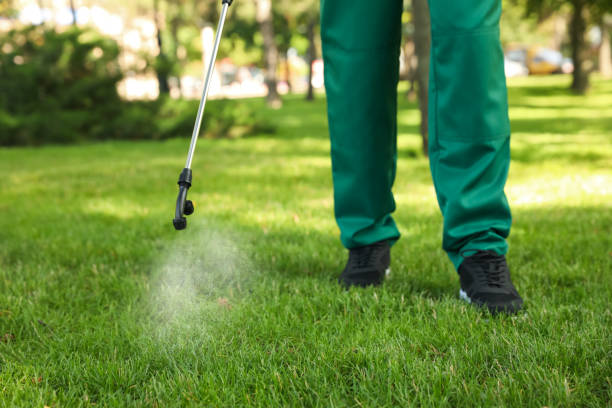 Best Emergency Pest Control  in Jackson, MS