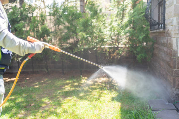 Best Pest Inspection Near Me  in Jackson, MS