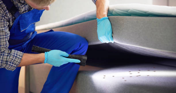 Best Termite Control Services  in Jackson, MS